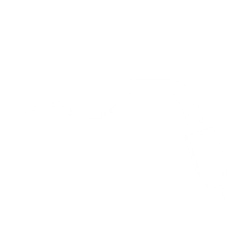 Icon MIG/MAG torch