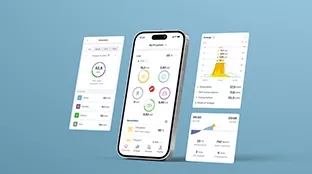Solar.web App on smartphone